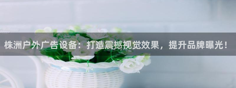 杏宇平台代理怎么赚钱：株洲户外广告设备：打造震撼视觉效果，提升品牌曝光！