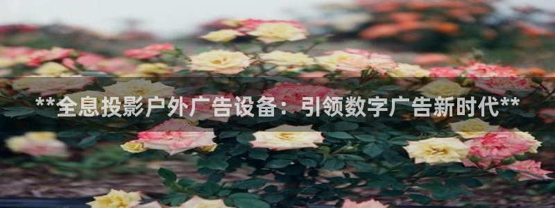 杏宇平台客服：**全息投影户外广告设备：引领数字广告新时代**