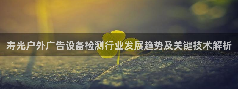 杏宇官方平台官网下载：寿光户外广告设备检测行业发展趋势及关键技术解析