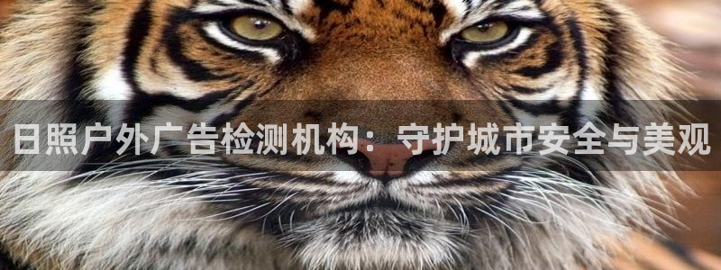 杏宇平台总代理