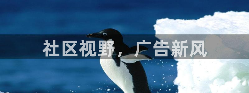 杏宇平台注册登录