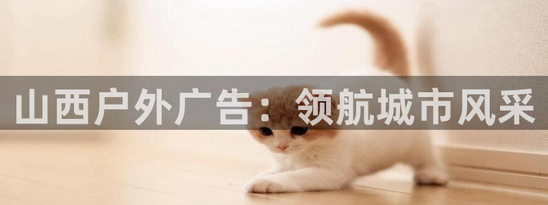 杏宇平台代理