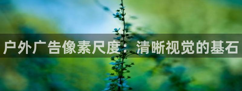 杏宇平台官网注册