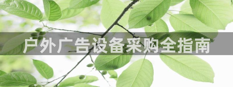 杏宇平台好吗