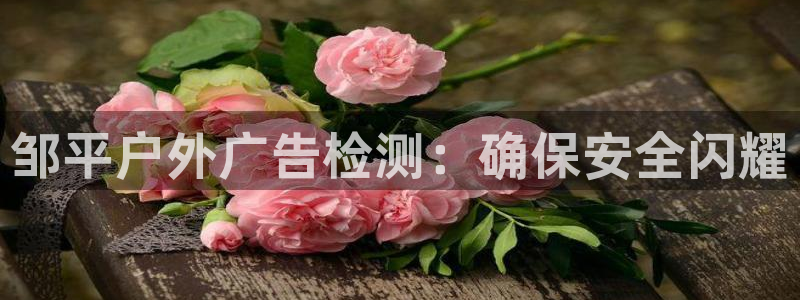 杏宇平台是什么
