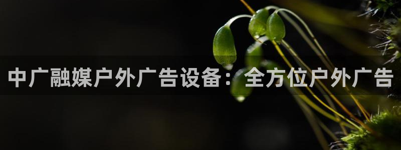 杏宇平台招商
