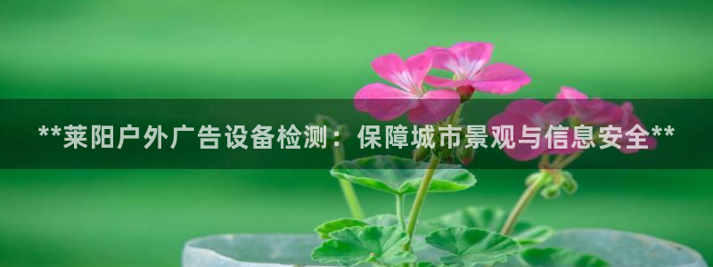 杏宇官方平台官网入口