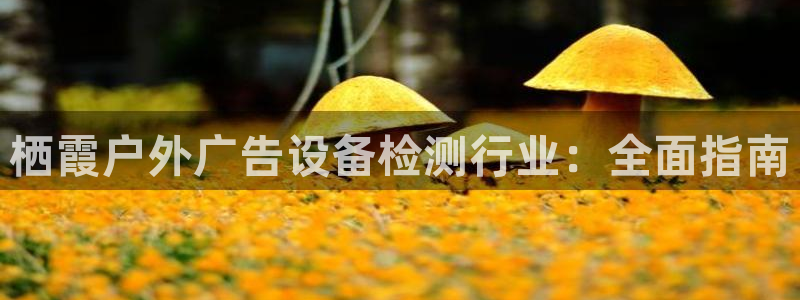 杏宇平台开户