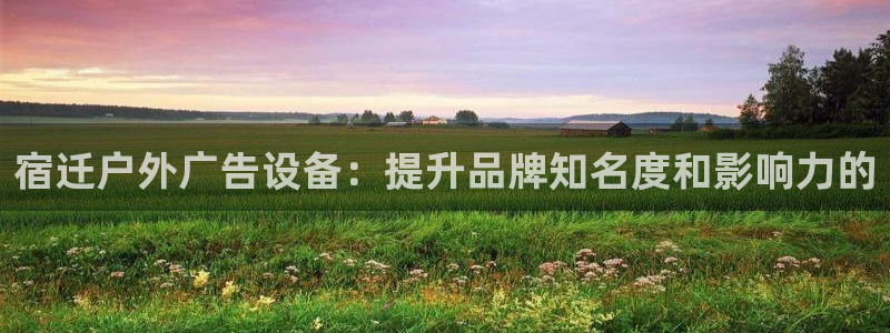 杏宇平台注册登录