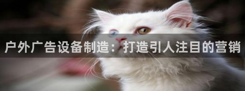 杏宇平台注册登录