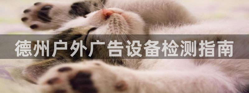 杏宇平台代理