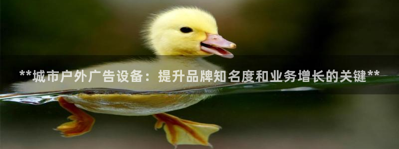 杏宇平台注册登录