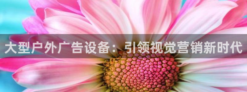 杏宇平台登录步骤是什么