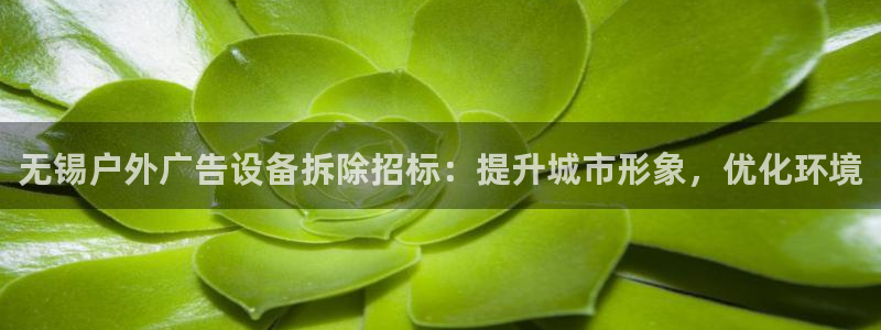 杏宇平台代理怎么样赚钱