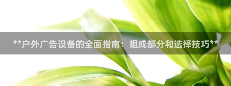杏宇平台注册地址