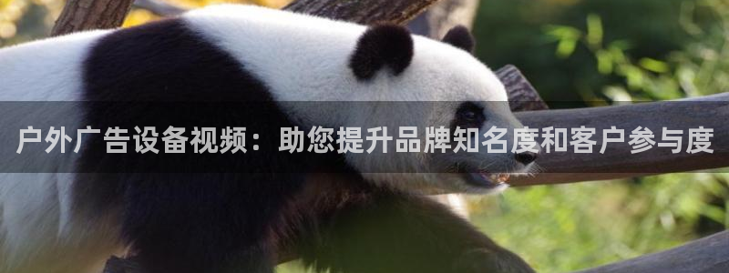 杏宇平台招商怎么样