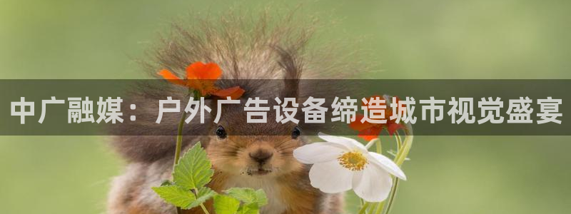 杏宇平台总代理是谁