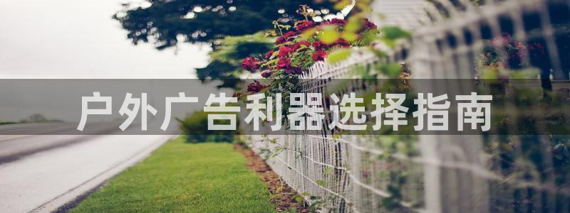 杏宇平台代理怎么样