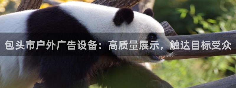 杏宇平台招商电话号码