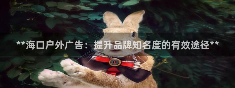 杏宇平台是什么