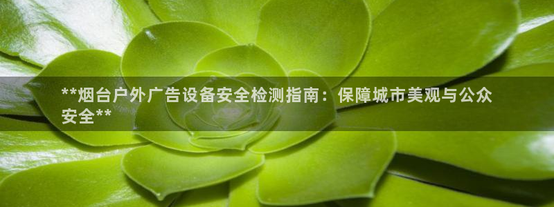 杏宇平台主管