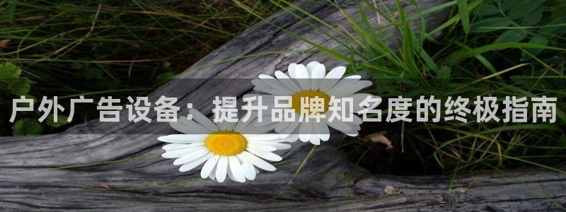 杏宇平台怎么样赚钱：户外广告设备：提升品牌知名度的终极指南