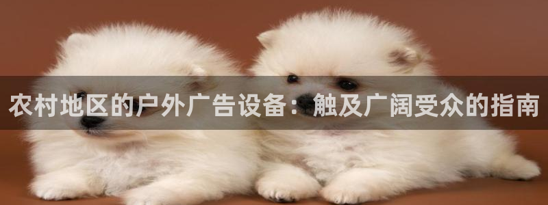 杏宇平台好吗：农村地区的户外广告设备：触及广阔受众的指南