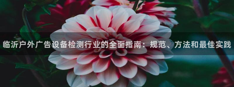 杏宇平台代理怎么赚钱：临沂户外广告设备检测行业的全面指南：规范、方法和最佳实践