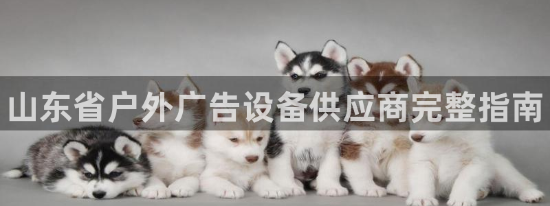 杏宇平台代理怎么样：山东省户外广告设备供应商完整指南