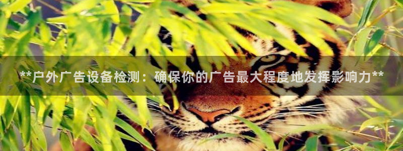 杏宇平台登录步骤是什么：**户外广告设备检测：确保你的广告最大程度地发挥影响力**