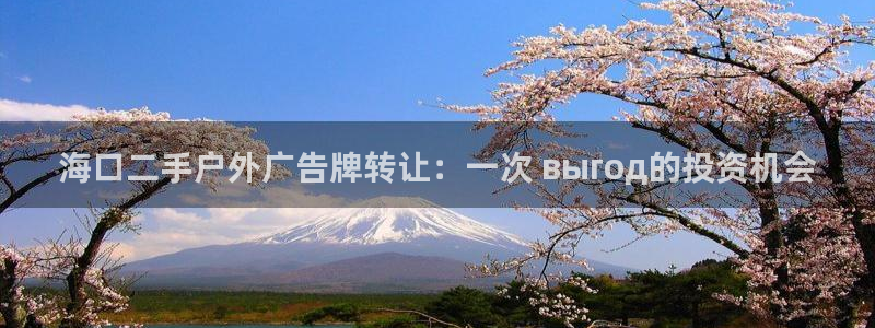 杏宇官方平台官网入口：海口二手户外广告牌转让：一次 выгод的投资机会