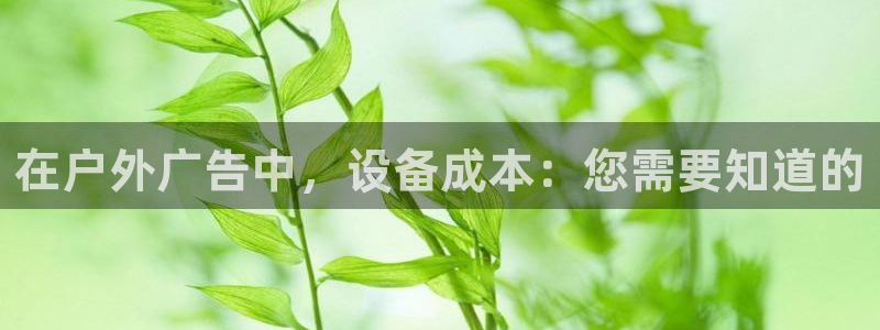 杏宇官方平台官网下载：在户外广告中，设备成本：您需要知道的