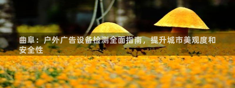 杏宇平台开户：曲阜：户外广告设备检测全面指南，提升城市美观度和
安全性