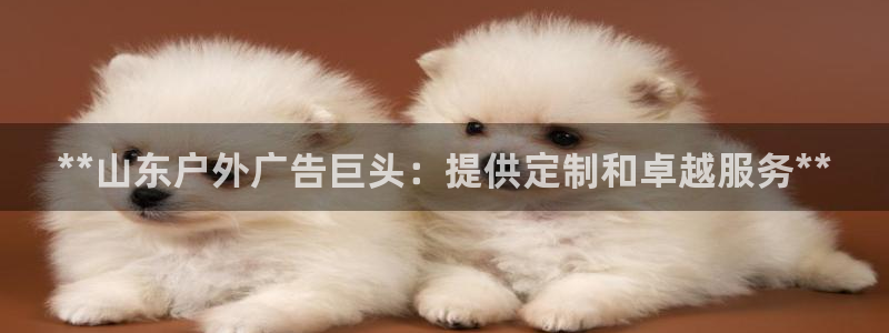 杏宇平台代理怎么赚钱