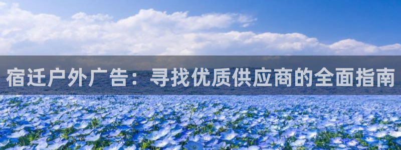 杏宇平台客服：宿迁户外广告：寻找优质供应商的全面指南