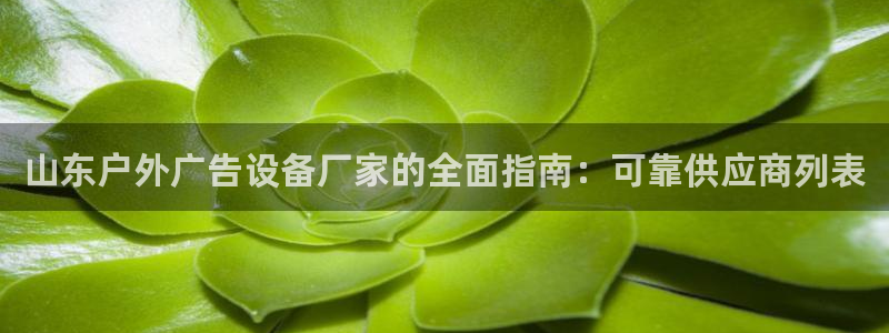 杏宇平台登录方法：山东户外广告设备厂家的全面指南：可靠供应商列表