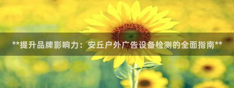 杏宇平台是什么：**提升品牌影响力：安丘户外广告设备检测的全面指南**