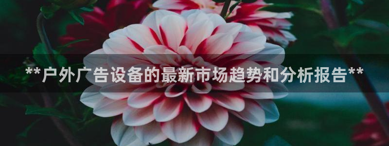 杏宇平台代理怎么样：**户外广告设备的最新市场趋势和分析报告**