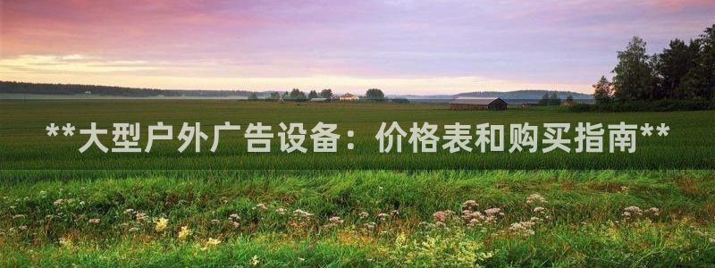 杏宇官方平台官网入口：**大型户外广告设备：价格表和购买指南**