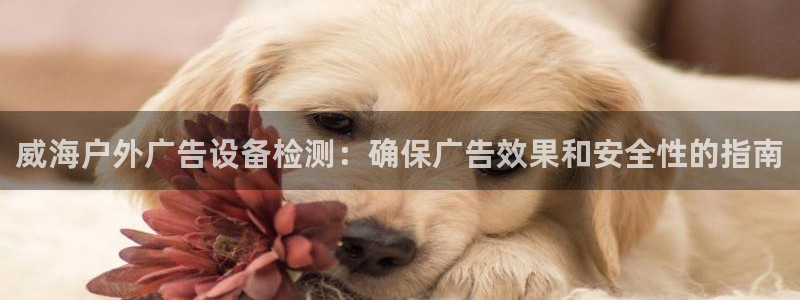 杏宇平台登录方法：威海户外广告设备检测：确保广告效果和安全性的指南