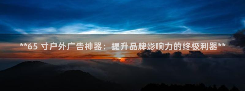 杏宇平台客服：**65 寸户外广告神器：提升品牌影响力的终极利器**