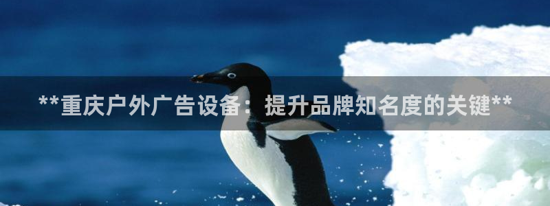 杏宇平台好吗：**重庆户外广告设备：提升品牌知名度的关键**