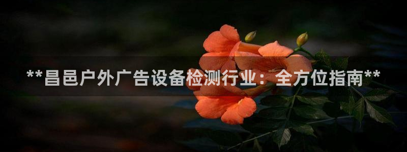 杏宇平台主管：**昌邑户外广告设备检测行业：全方位指南**