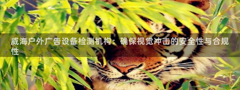 杏宇平台测速链接：威海户外广告设备检测机构：确保视觉冲击的安全性与合规
性