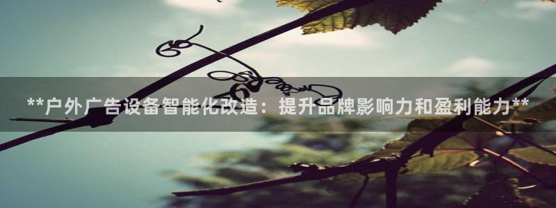 杏宇平台代理怎么样：**户外广告设备智能化改造：提升品牌影响力和盈利能力**