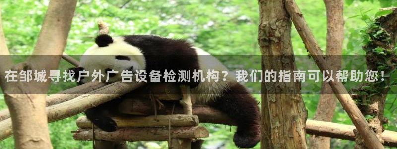 杏宇平台总代理电话：在邹城寻找户外广告设备检测机构？我们的指南可以帮助您！