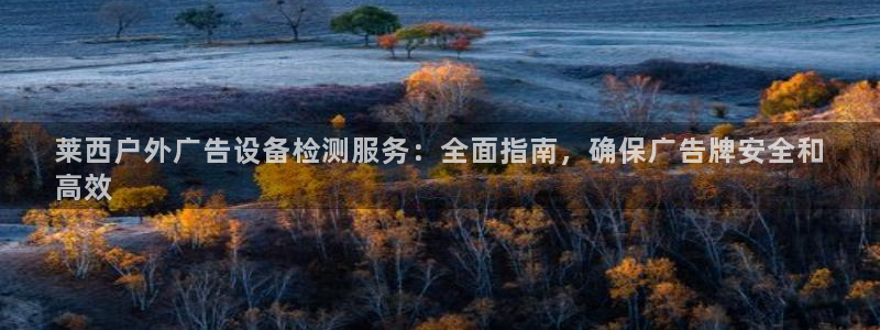 杏宇平台登陆：莱西户外广告设备检测服务：全面指南，确保广告牌安全和
高效