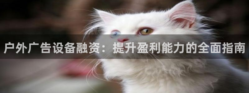 杏宇平台客服：户外广告设备融资：提升盈利能力的全面指南