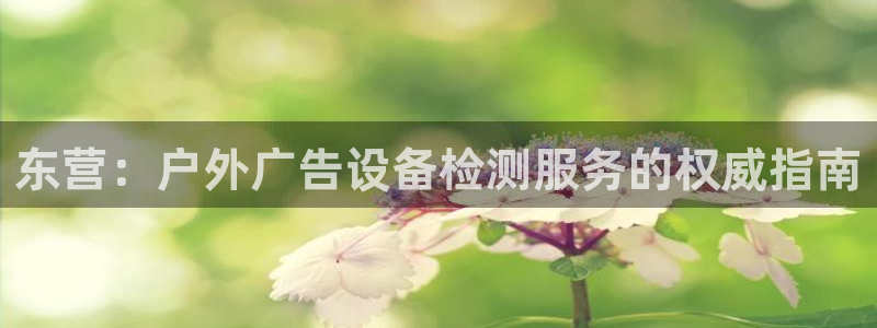 杏宇平台怎么样赚钱：东营：户外广告设备检测服务的权威指南