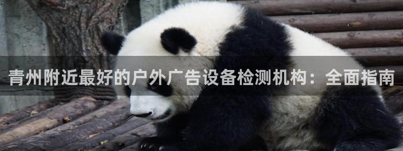 杏宇平台怎么样